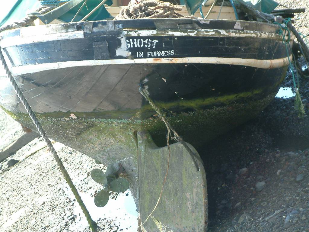 Click now to see this image full size.