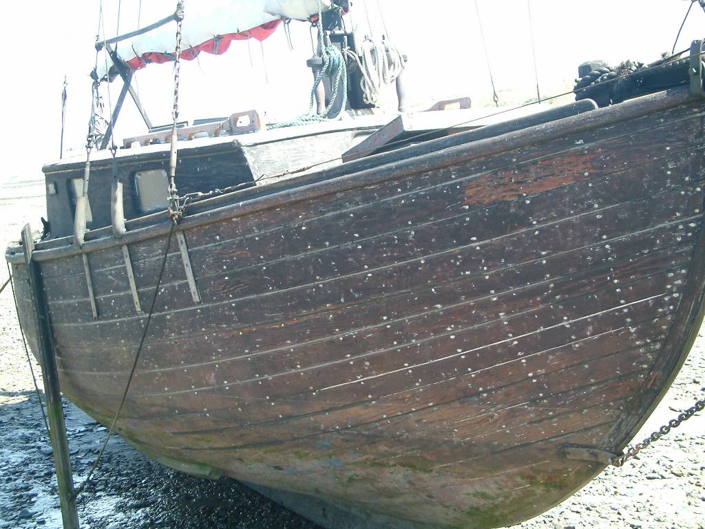 Click now to see this image full size.