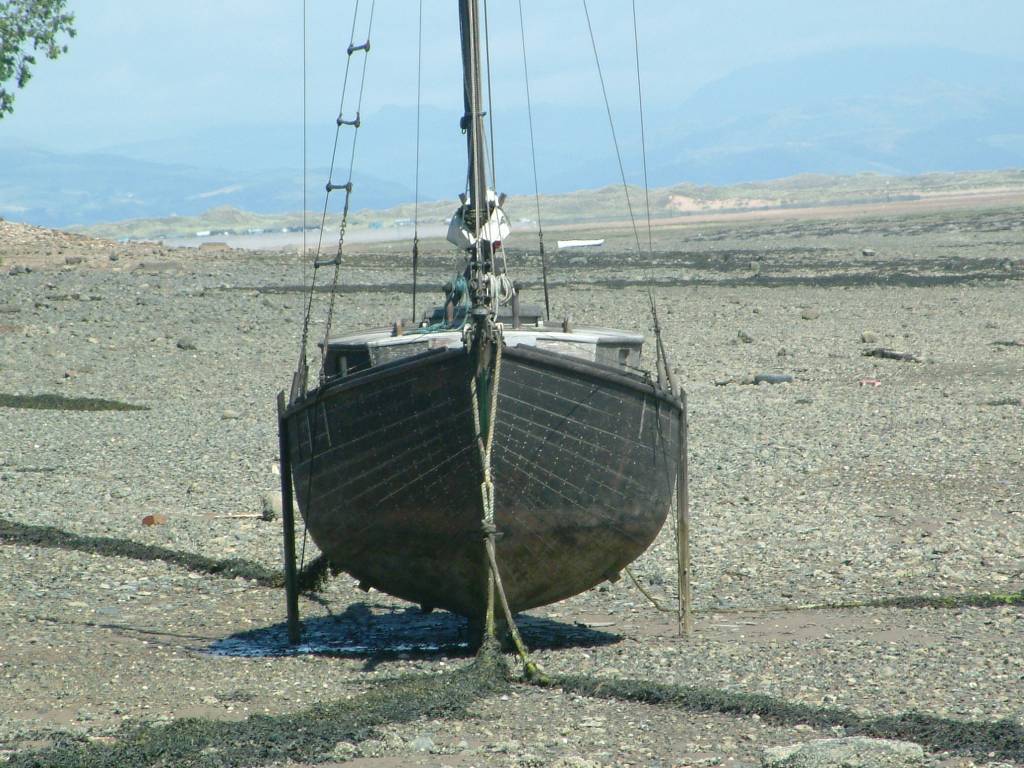 Click now to see this image full size.