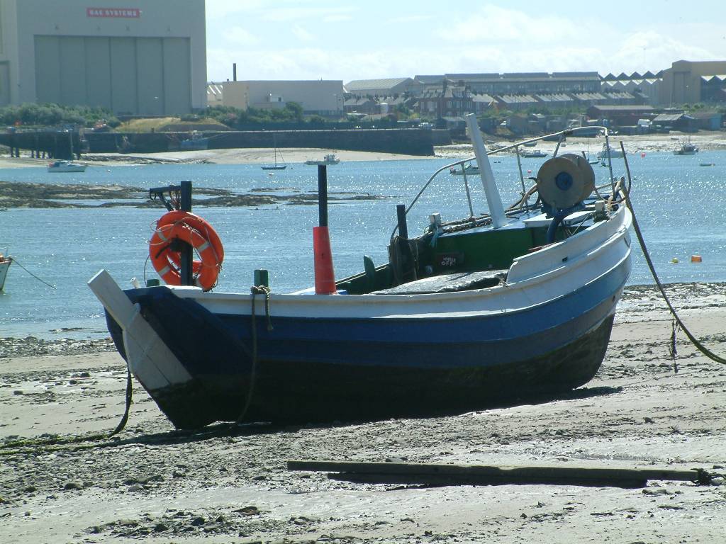 Click now to see this image full size.