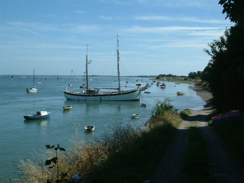 Click now to see this image full size.