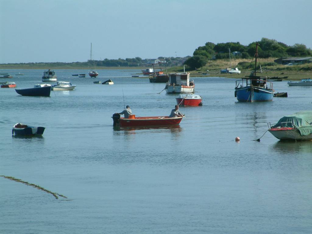 Click now to see this image full size.