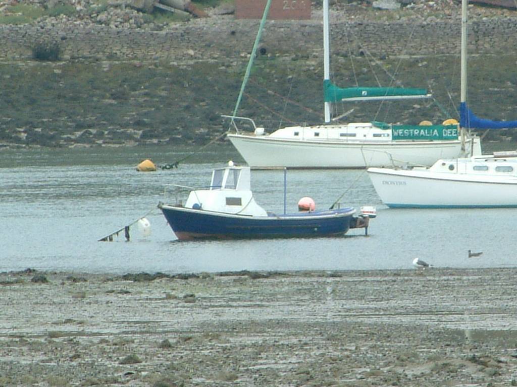 Click now to see this image full size.