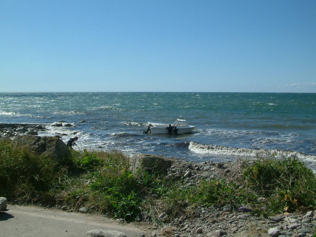 Click now to see this image full size.