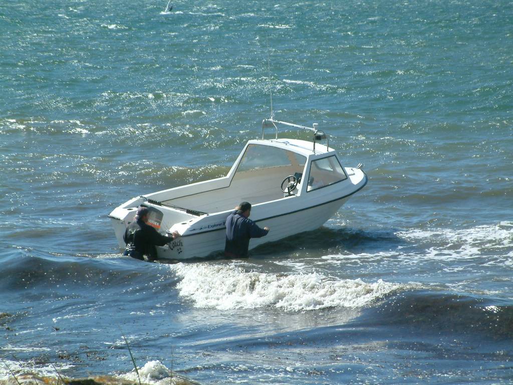 Click now to see this image full size.