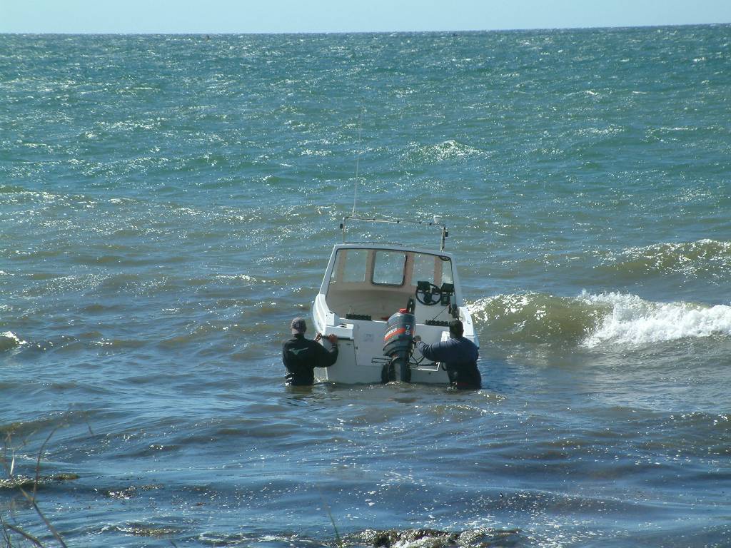 Click now to see this image full size.