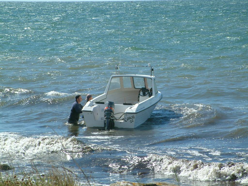 Click now to see this image full size.