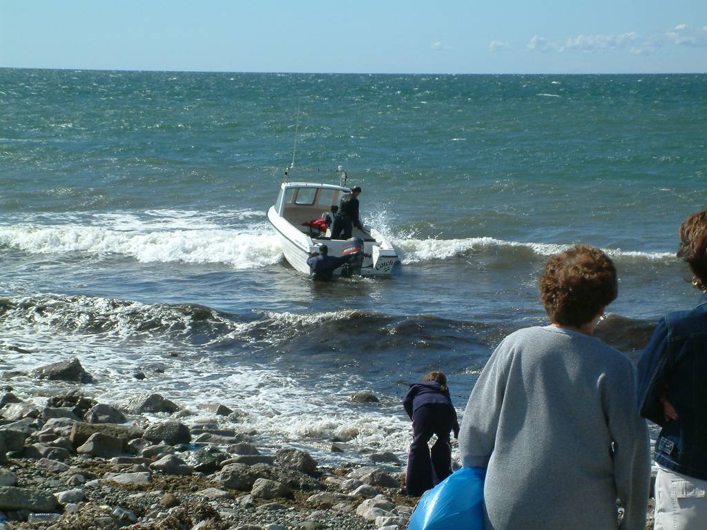 Click now to see this image full size.