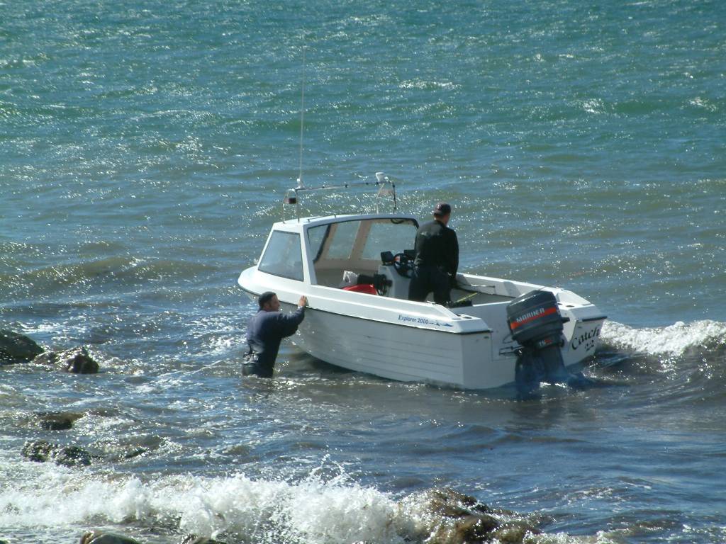 Click now to see this image full size.