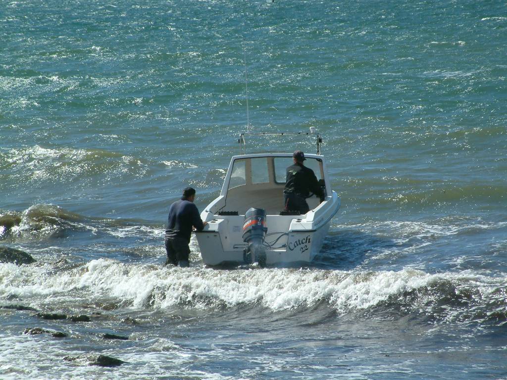 Click now to see this image full size.