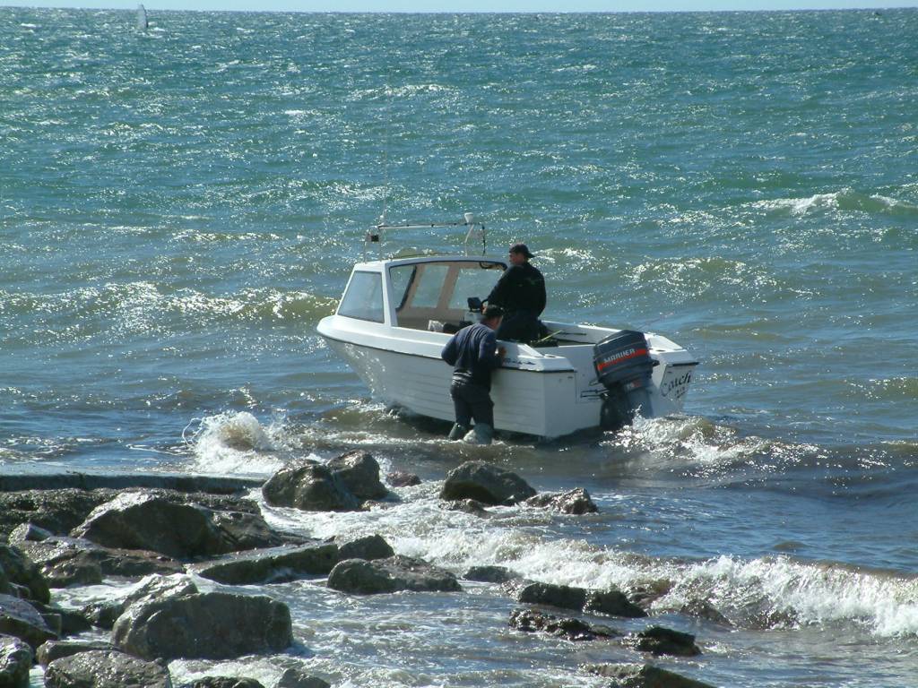 Click now to see this image full size.