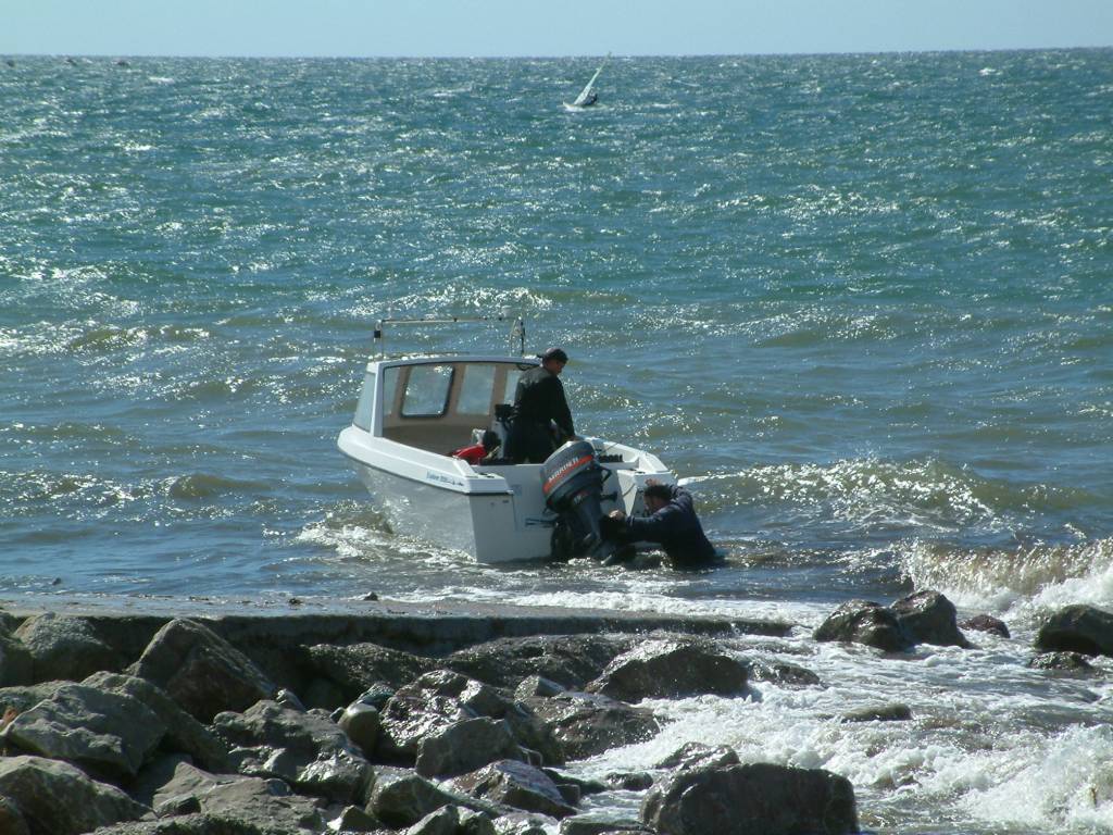 Click now to see this image full size.