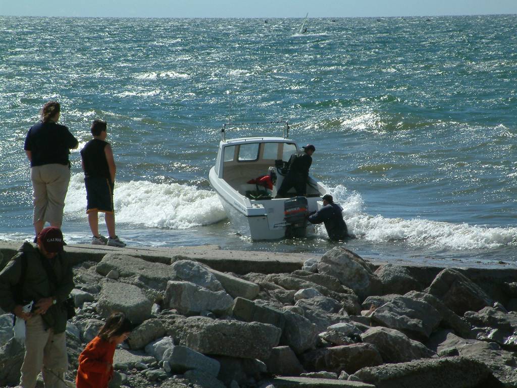 Click now to see this image full size.