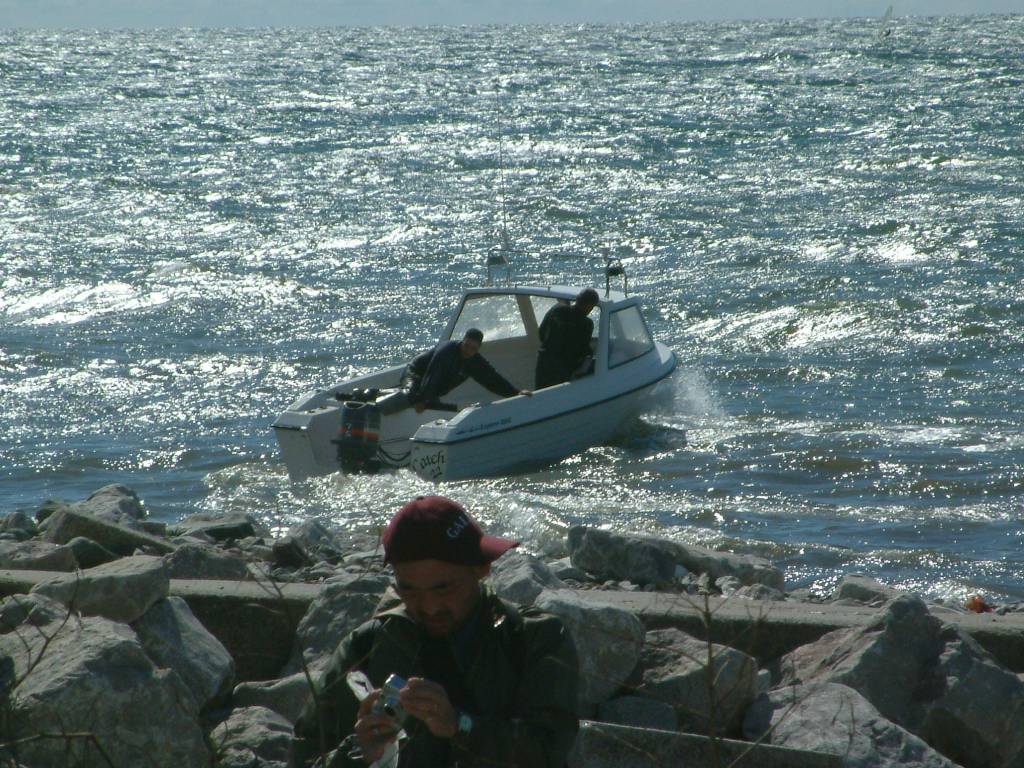 Click now to see this image full size.