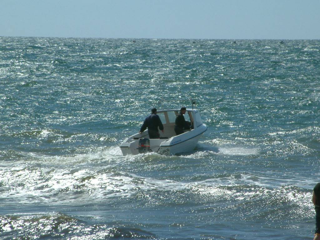 Click now to see this image full size.