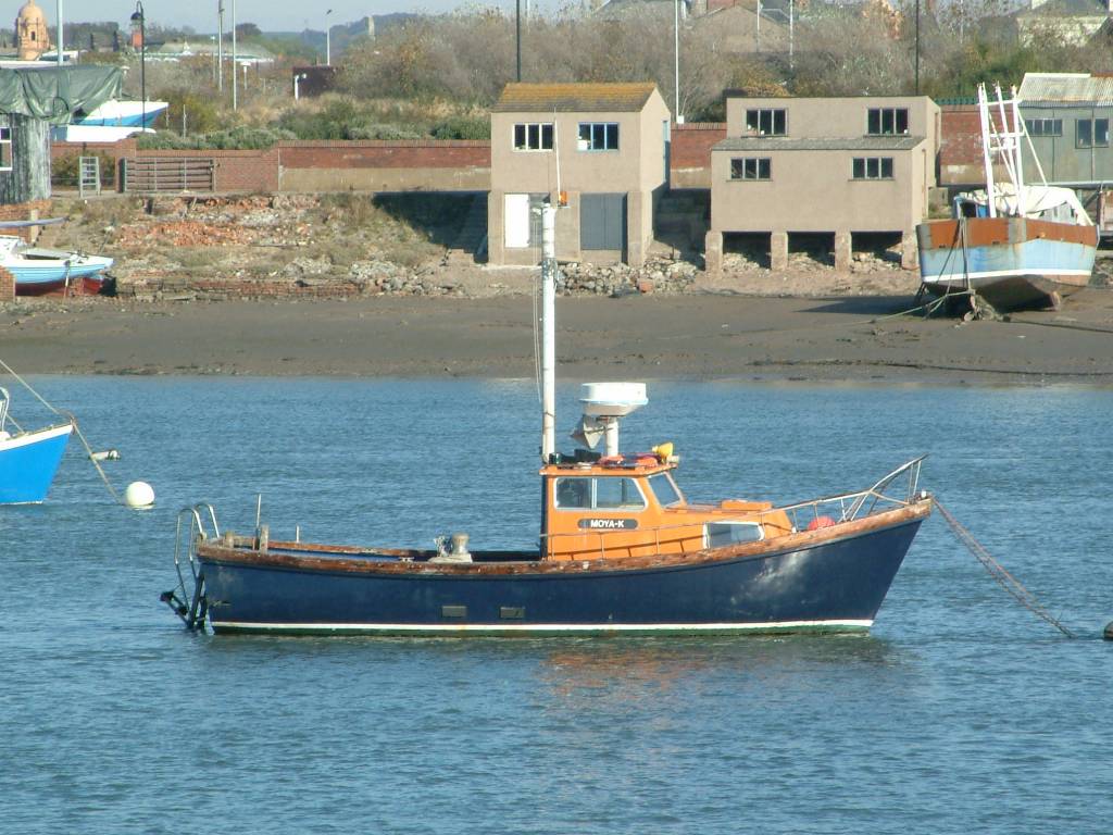 Click now to see this image full size.