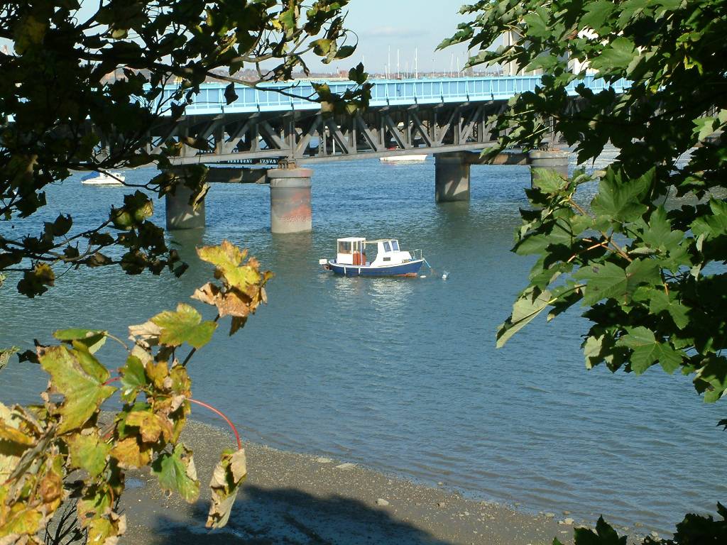 Click now to see this image full size.