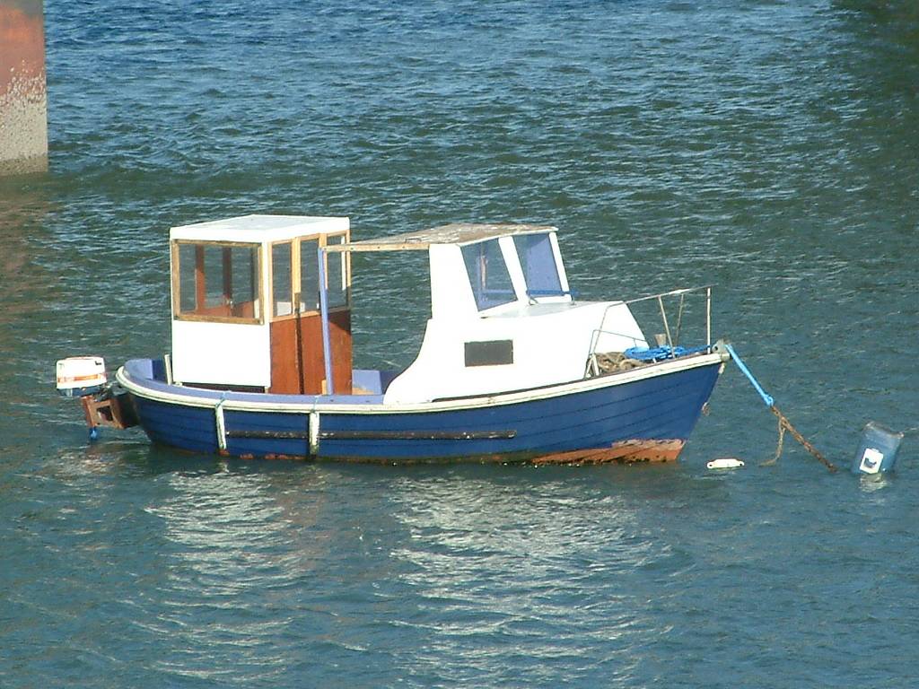 Click now to see this image full size.