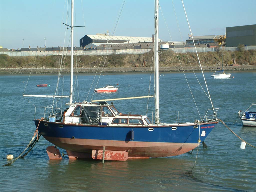 Click now to see this image full size.