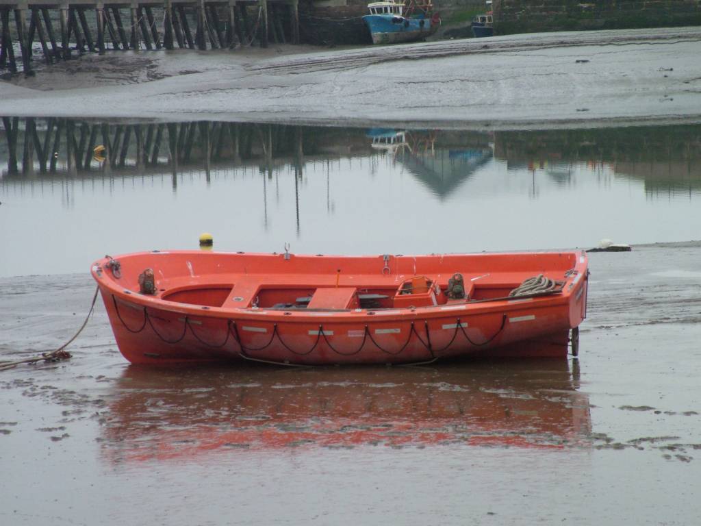 Click now to see this image full size.