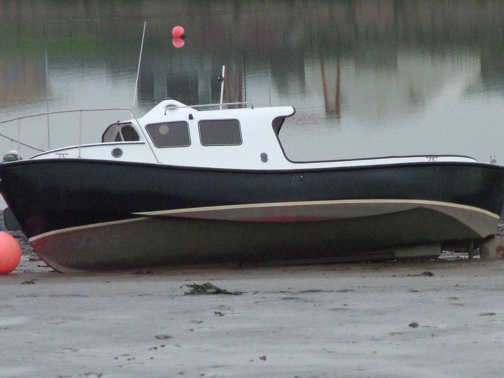 Click now to see this image full size.