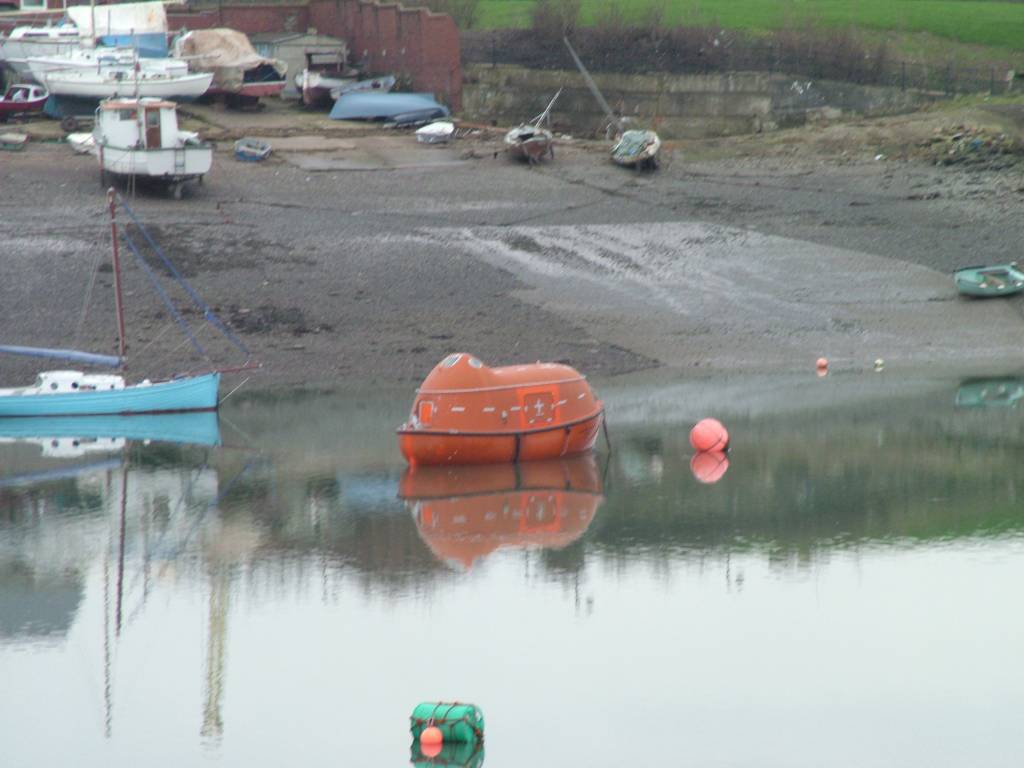 Click now to see this image full size.