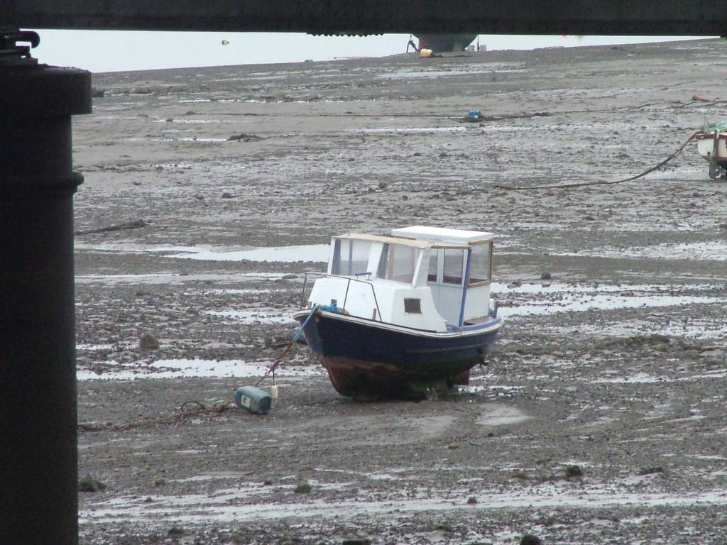 Click now to see this image full size.