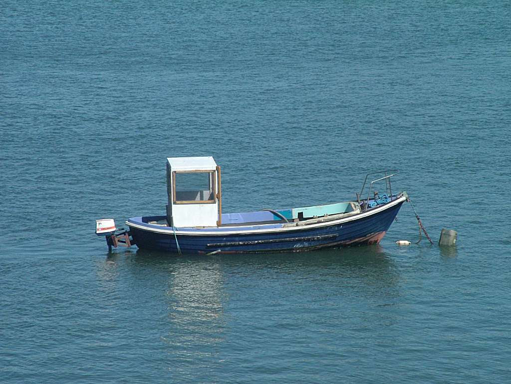 Click now to see this image full size.