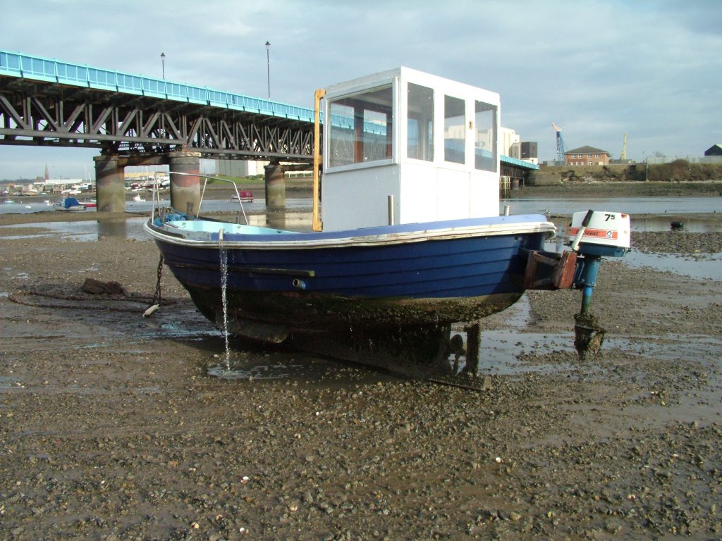 Click now to see this image full size.