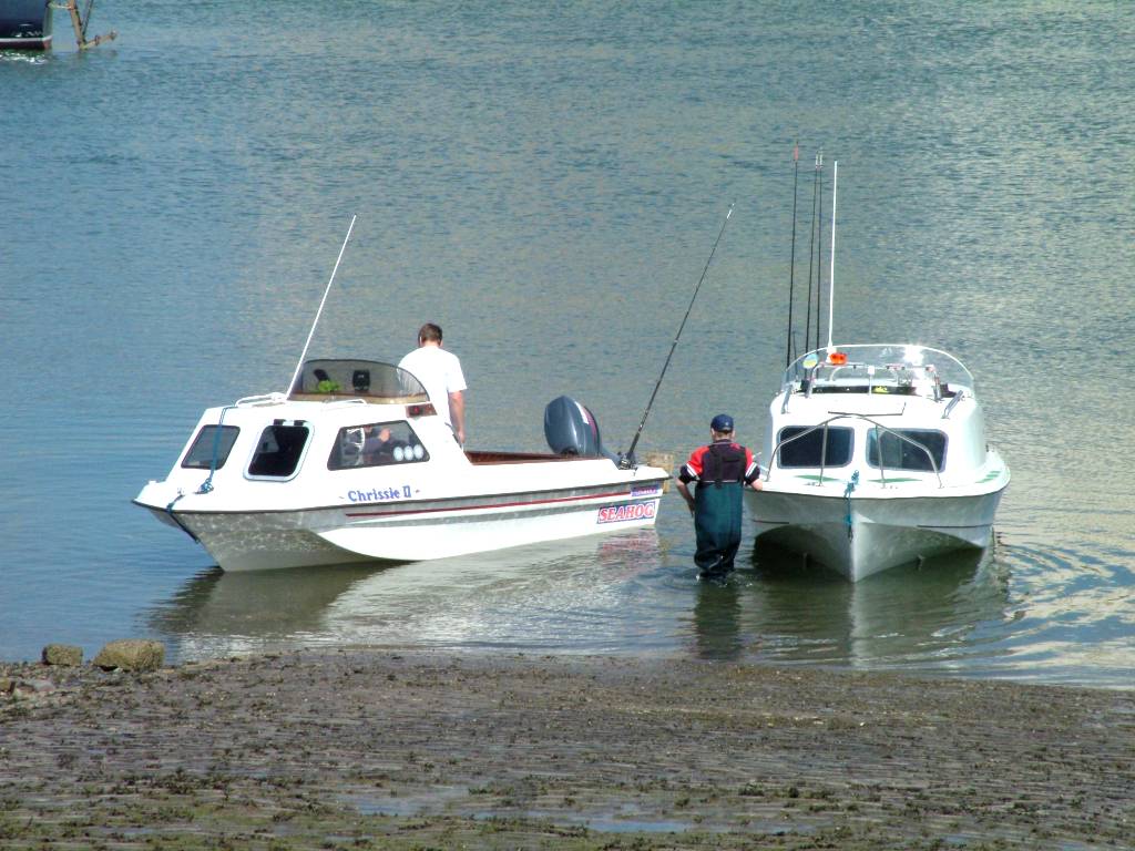 Click now to see this image full size.