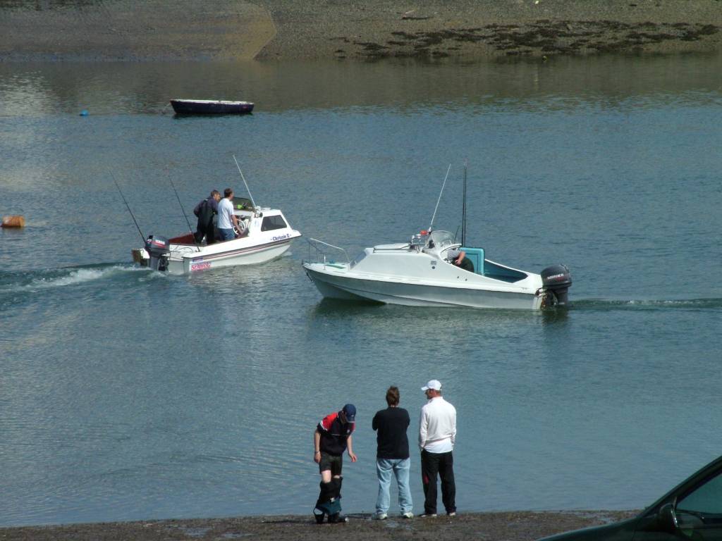 Click now to see this image full size.