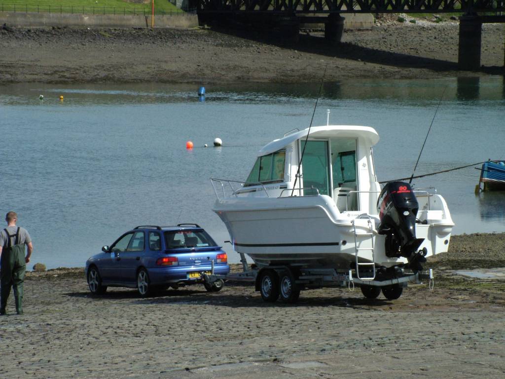 Click now to see this image full size.