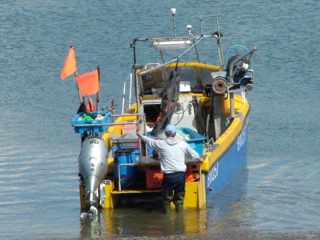 Click now to see this image full size.