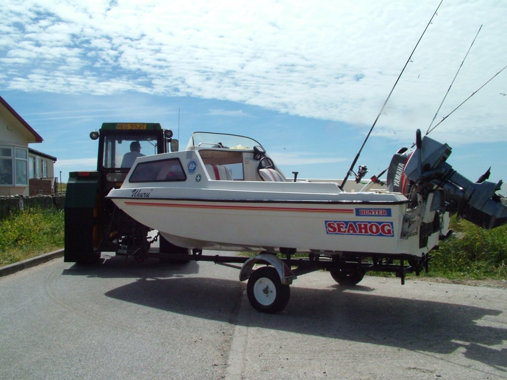 Click now to see this image full size.