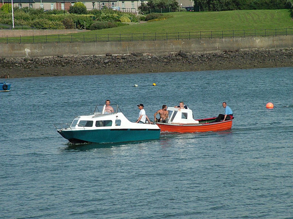 Click now to see this image full size.