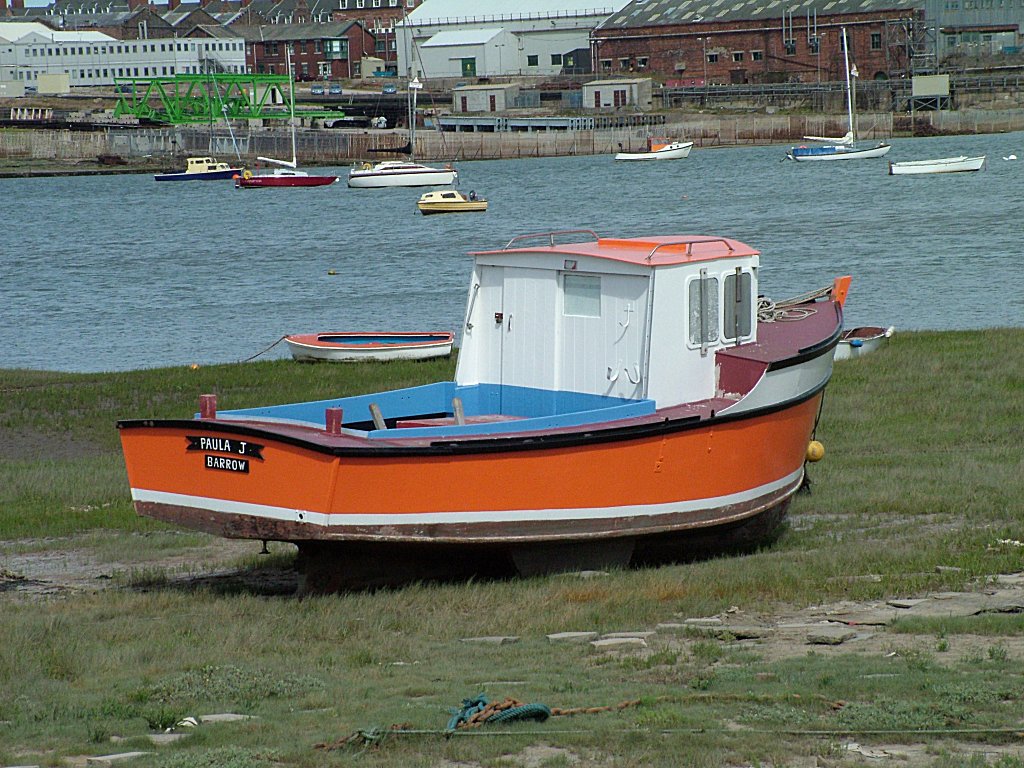 Click now to see this image full size.