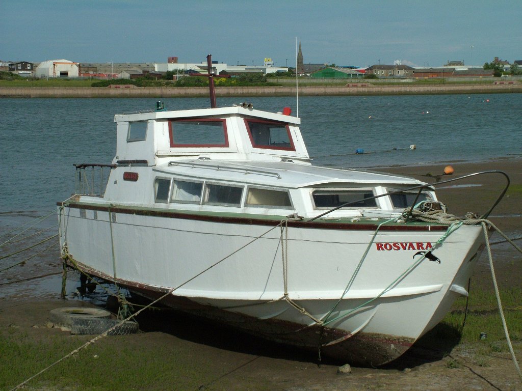 Click now to see this image full size.