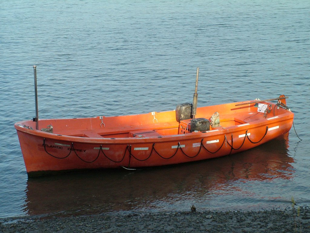 Click now to see this image full size.