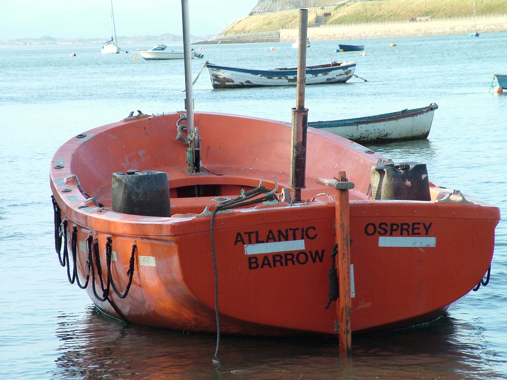 Click now to see this image full size.