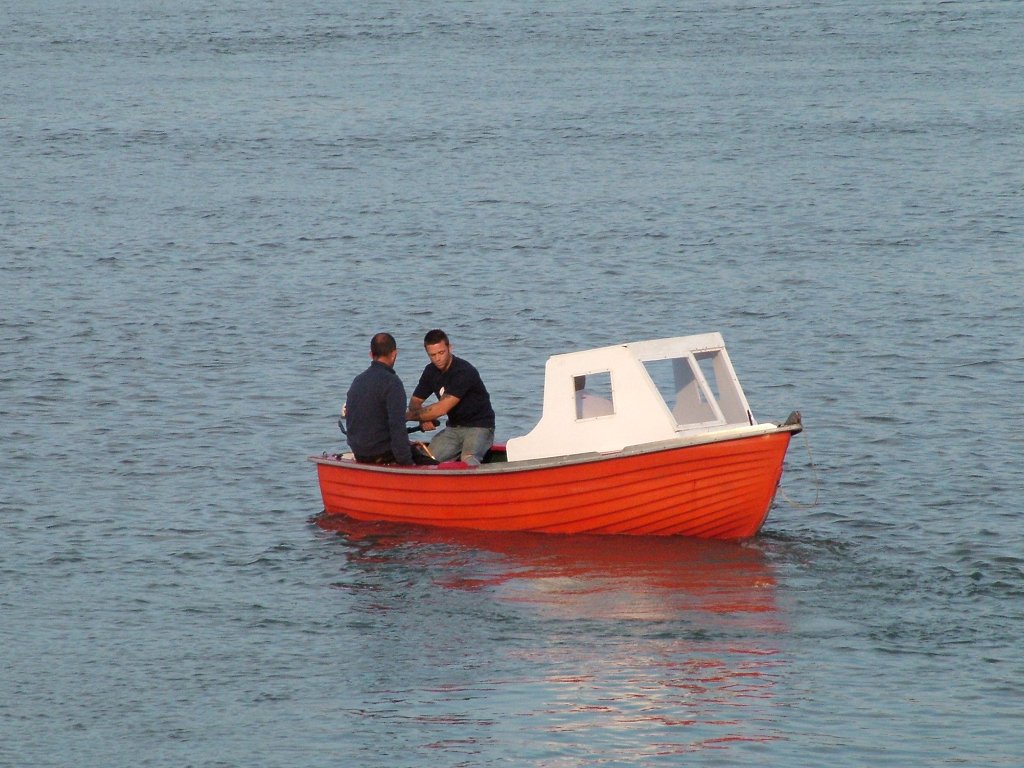 Click now to see this image full size.