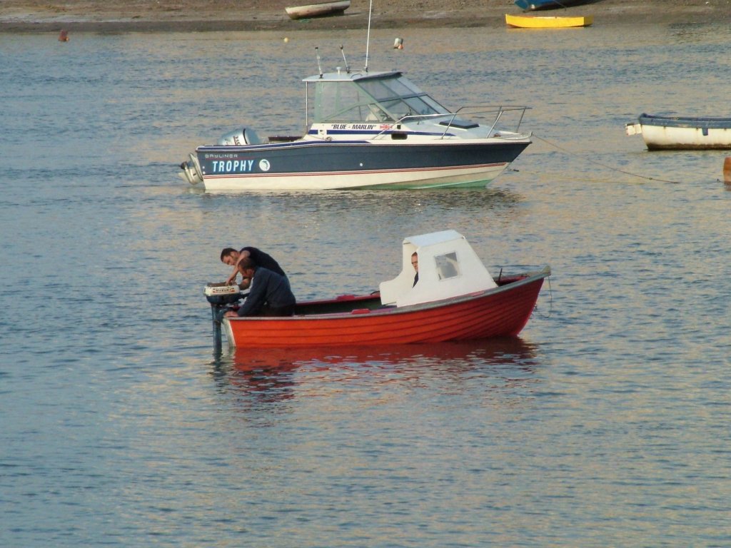 Click now to see this image full size.