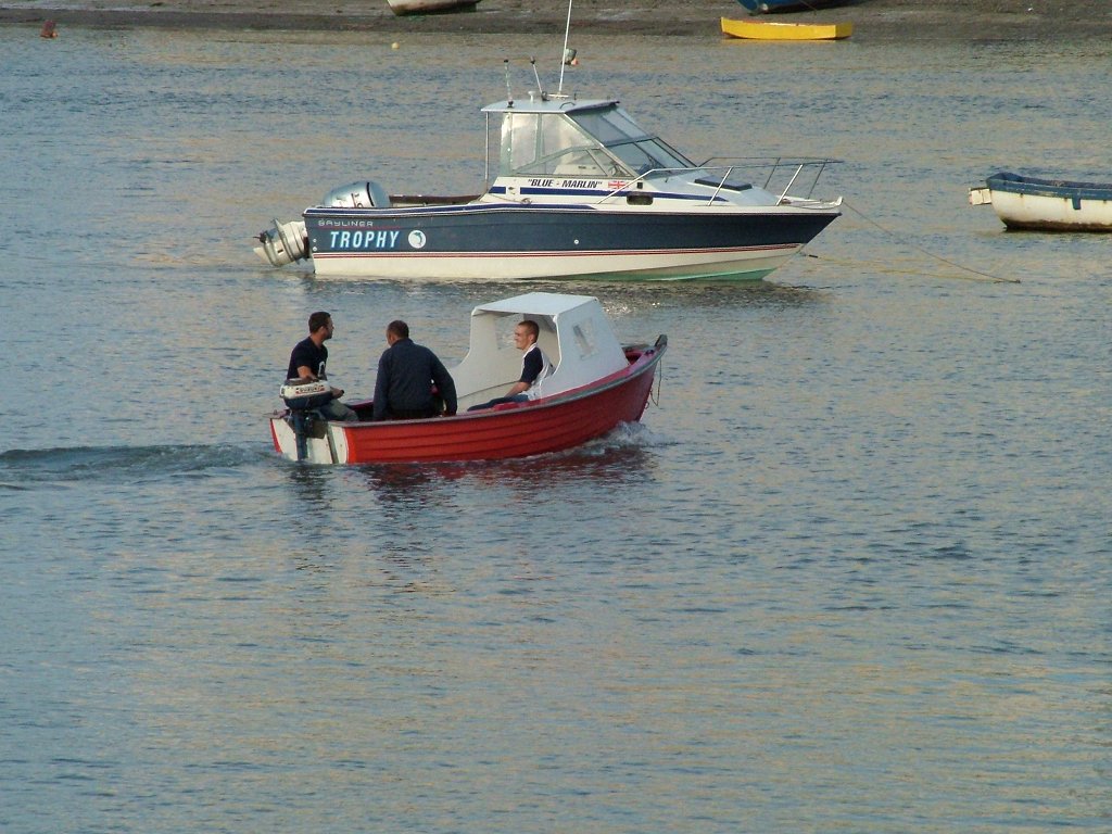 Click now to see this image full size.