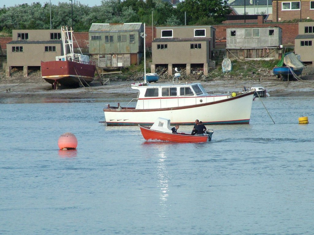 Click now to see this image full size.