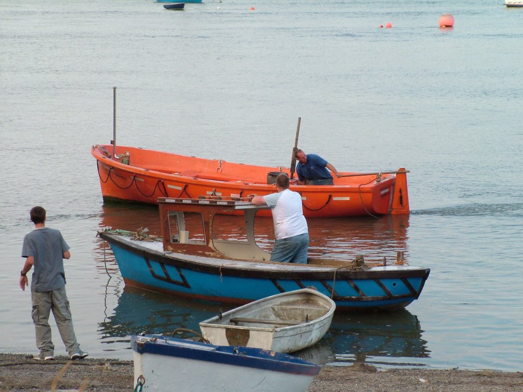 Click now to see this image full size.