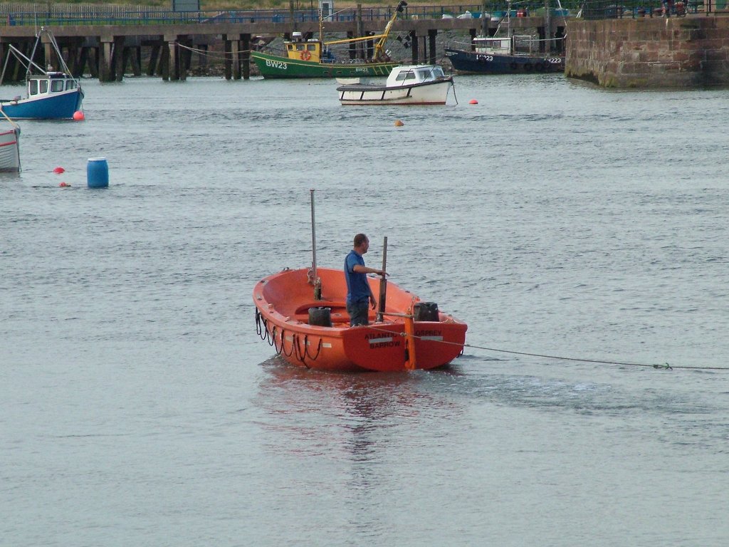 Click now to see this image full size.