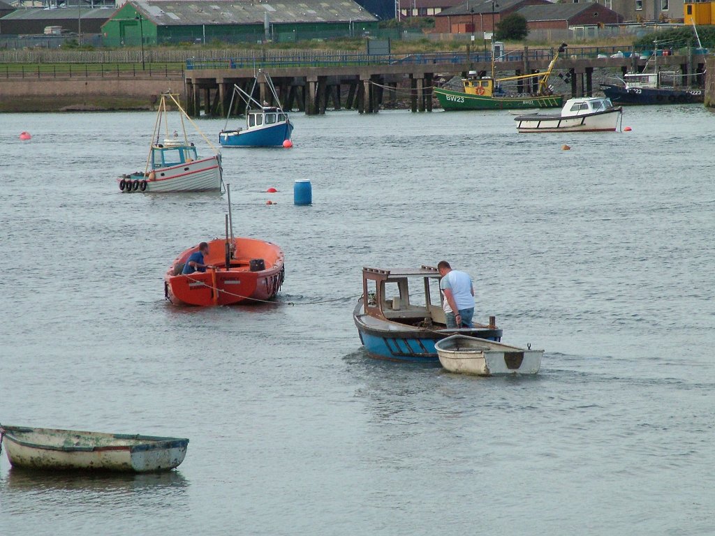 Click now to see this image full size.