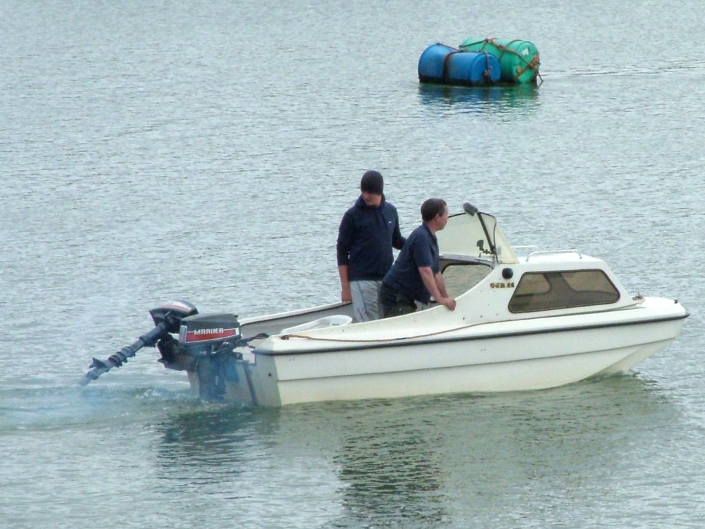 Click now to see this image full size.