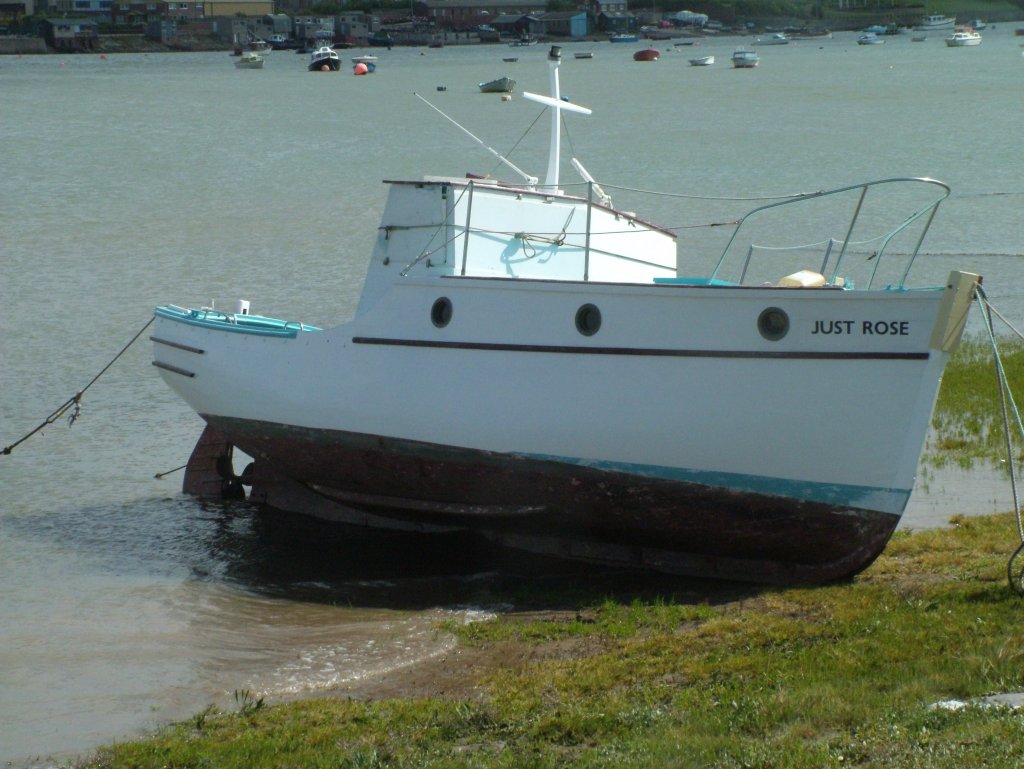 Click now to see this image full size.