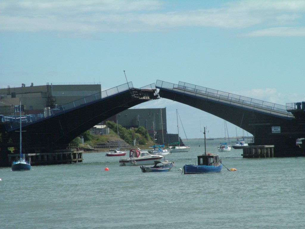 Click now to see this image full size.