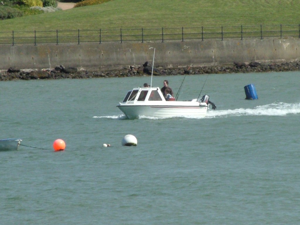 Click now to see this image full size.